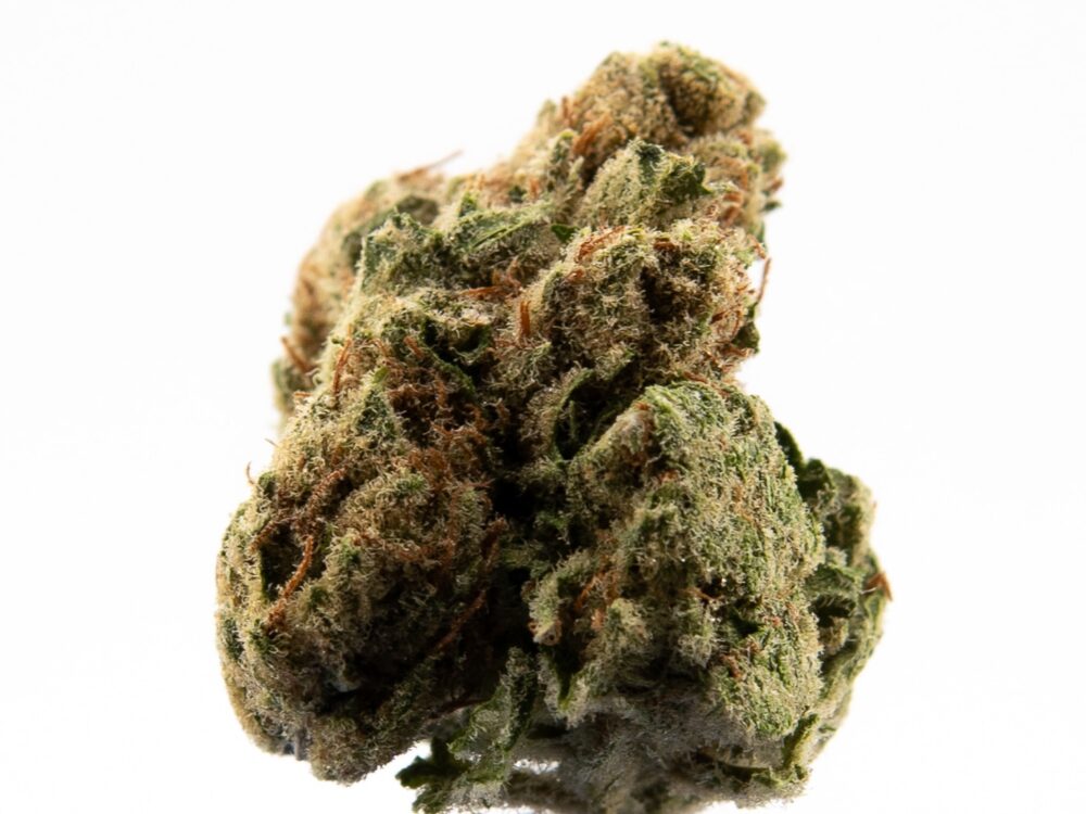 BLUEDREAM BUD 1