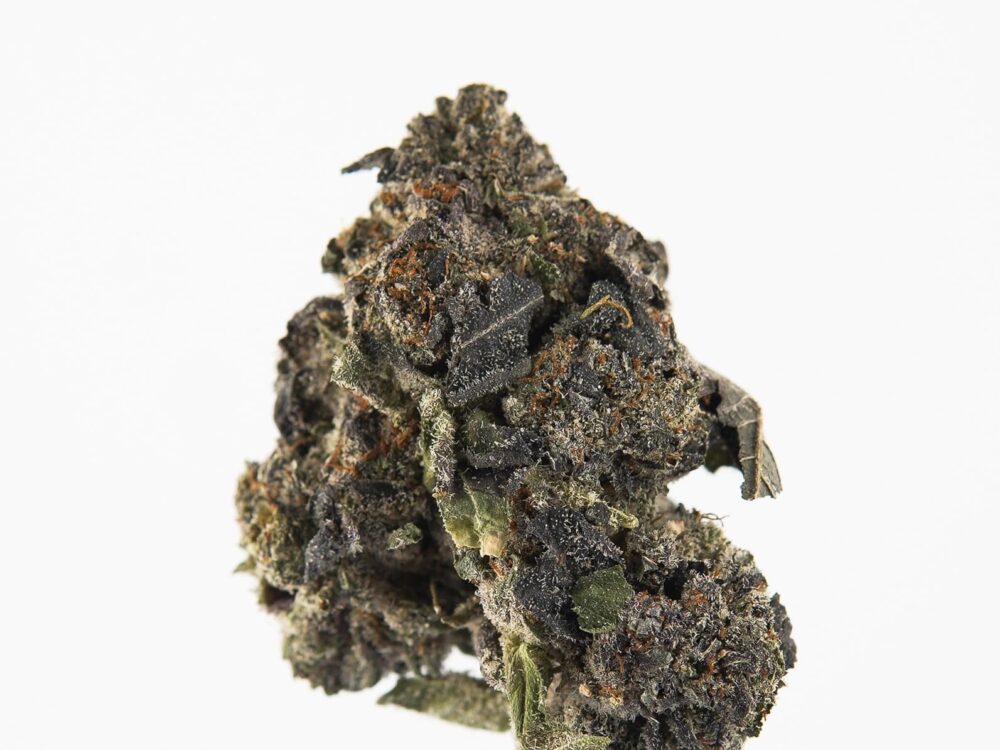 JOKERSCANDY BUD1