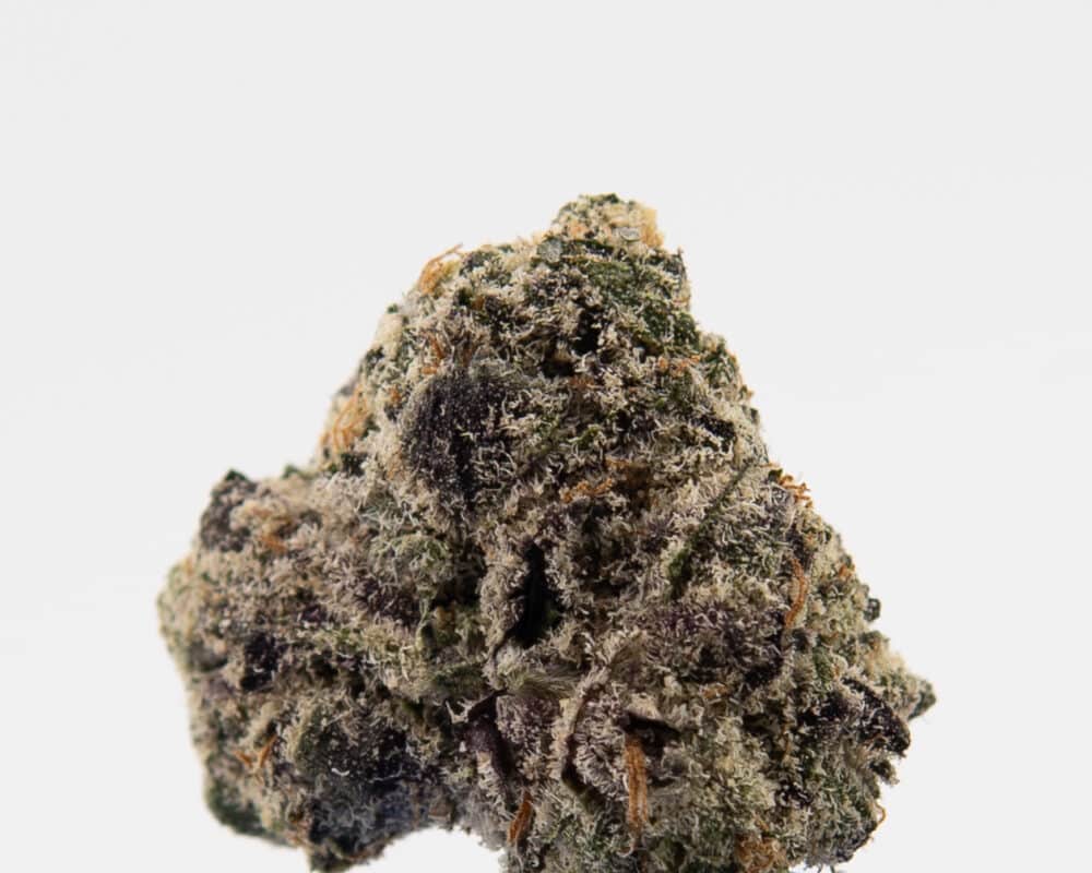 OREOZBLIZZARD BUD3