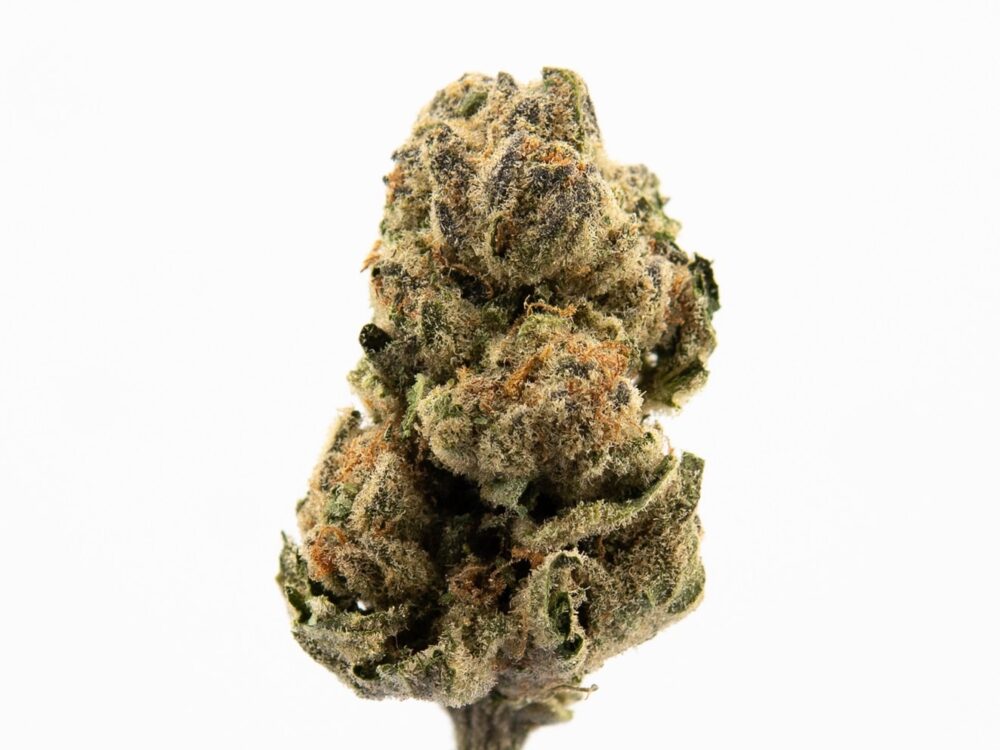 PUNCHBREATH BUD2