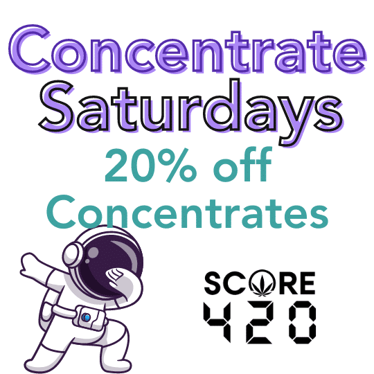 concentrate saturdays