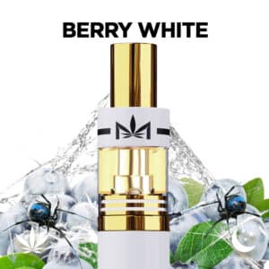 Dime Berry White (I) 2g AIO