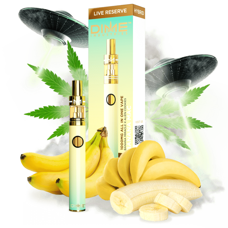 Dime Reserve Banana Mac (H) 1g Live AIO