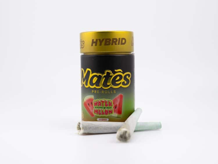 Muha Meds Mates Watermelon (H) 3g 5pk Infused Prerolls