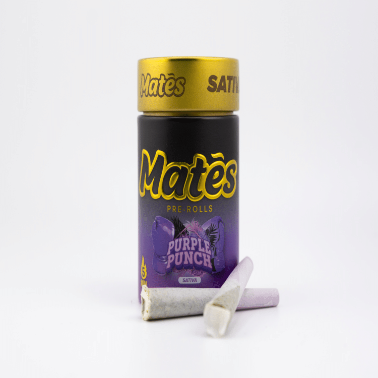 Muha Meds Mates Purple Punch (S) 3g 5pk Infused Prerolls