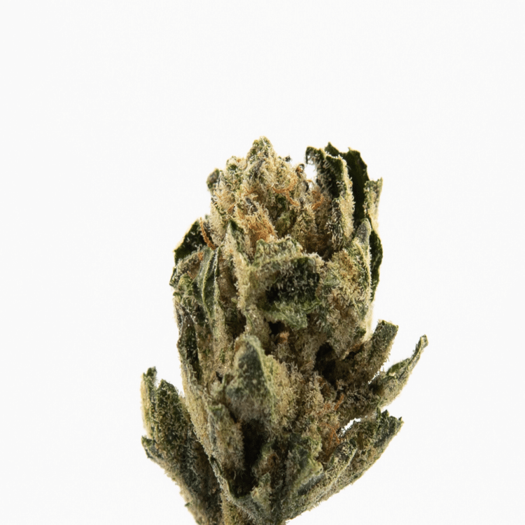 S420 Ice Cream Cake 1g