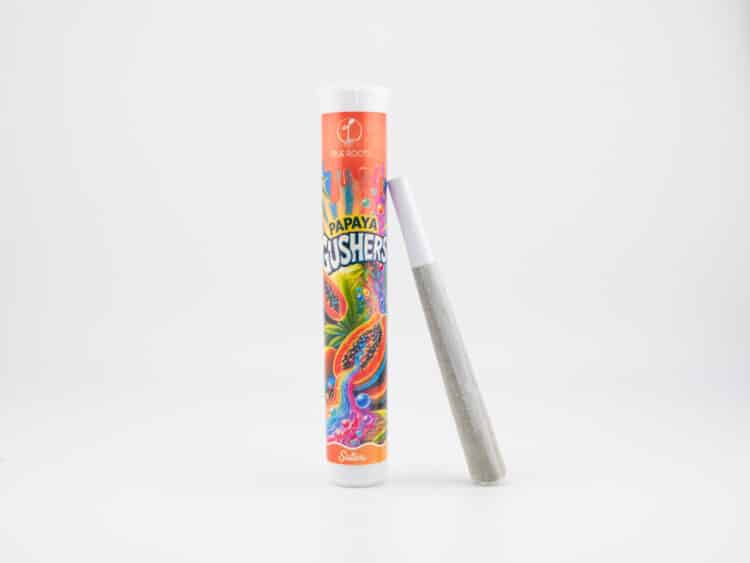 True Roots Papaya Gushers (S) 1g Preroll