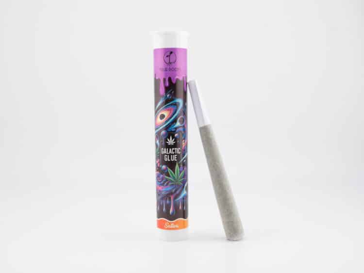 True Roots Galactic Glue 1g Preroll