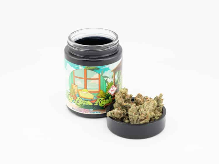 Enchanted Botanicals Key Lime Kush (H) 3.5g