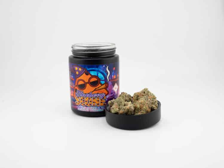 Enchanted Botanicals Blueberry Scone (I) 3.5g