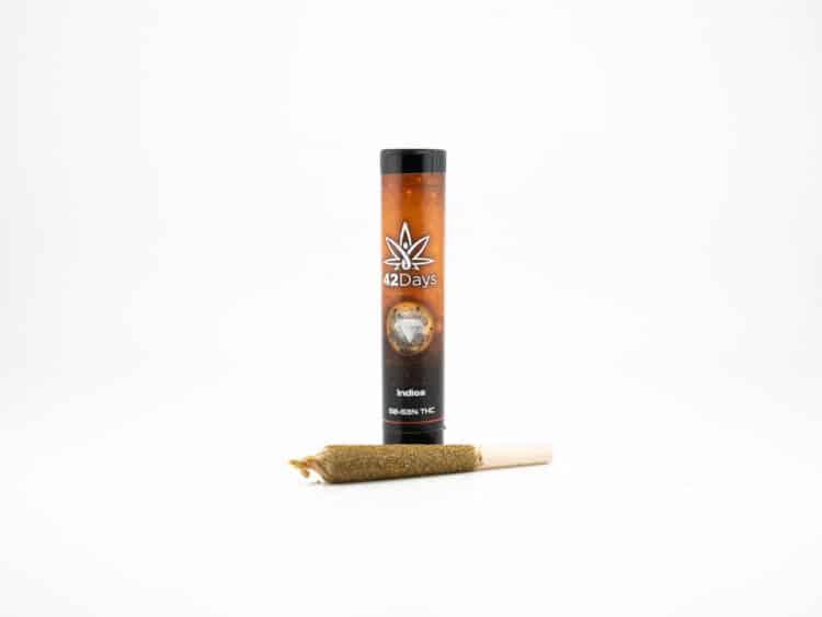 42Days 42Nights (I) .75g Infused Preroll