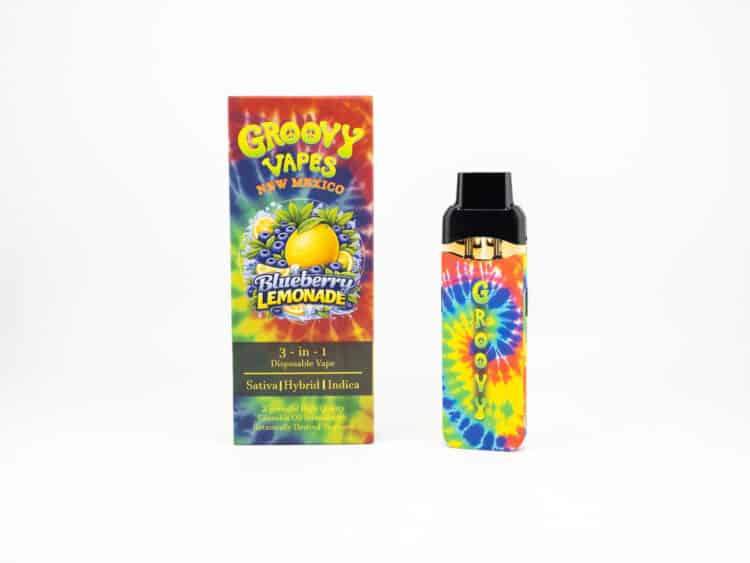 Groovy Blueberry Lemonade (H) 3-in1 2g AIO