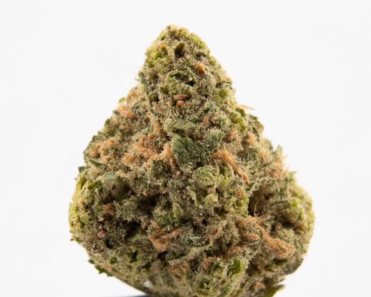 Enchanted Botanicals Blue Dream (S) Deli Flower