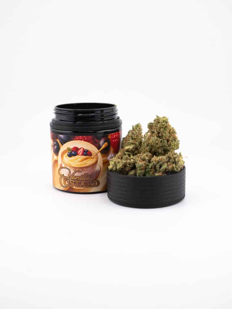 Enchanted Botanicals Vanilla Custard (I) 3.5g