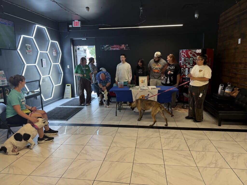 Good Vibes, Good Dogs, and the Best Dispensary in New Mexico 1 IMG 0290