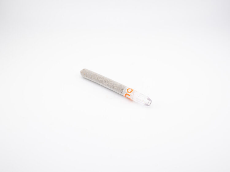 Happy Orange Runtz x Cake Mesa (H) 1.6g Sugar Donut