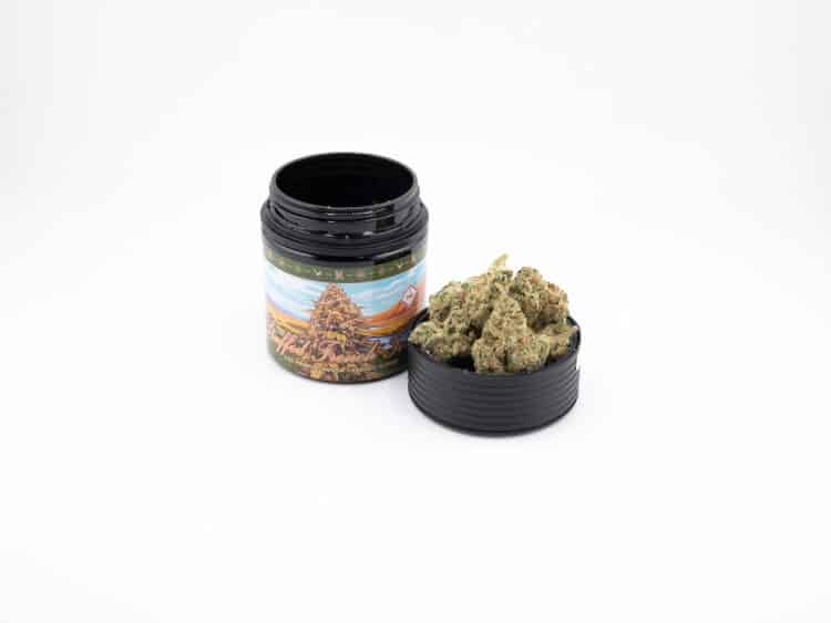 Enchanted Botanicals Stuffed French Toast (H) 3.5g