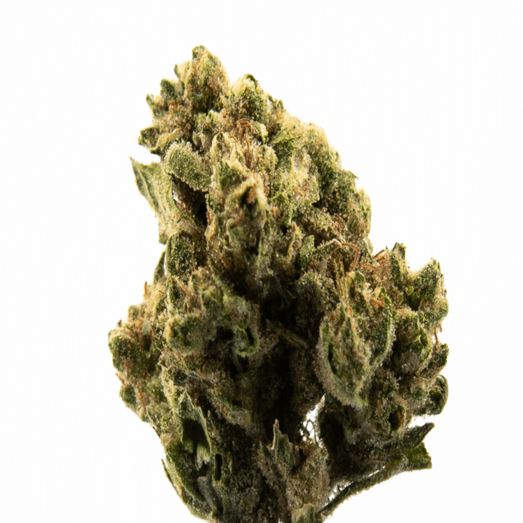 S420 Fantasy Melon (H) 28g